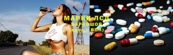 гашик Алексин
