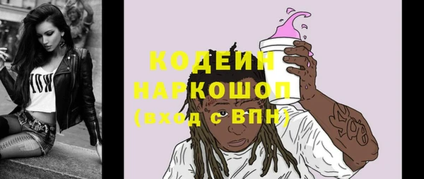 гашик Алексин