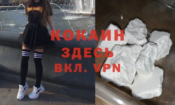 гашик Алексин