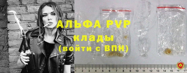 гашик Алексин
