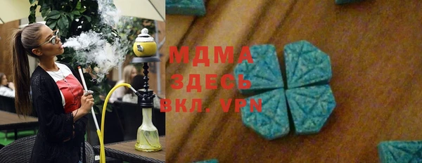 гашик Алексин