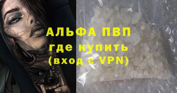 гашик Алексин
