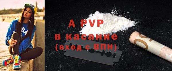 гашик Алексин
