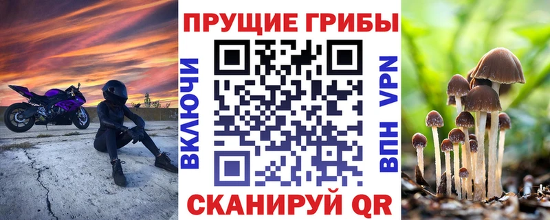 Купить  Богучар  Псилоцибиновые грибы MAGIC MUSHROOMS 